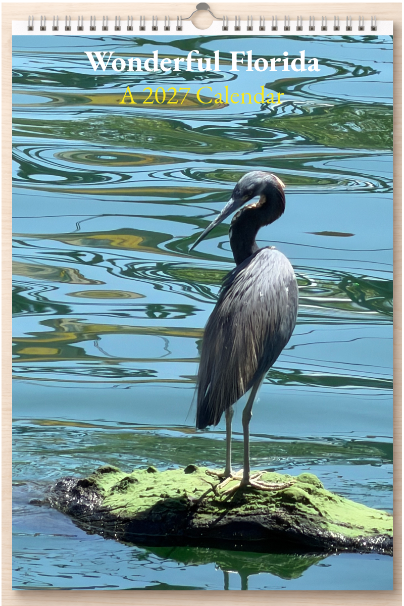 Wonderful Florida: A 2027 Calendar