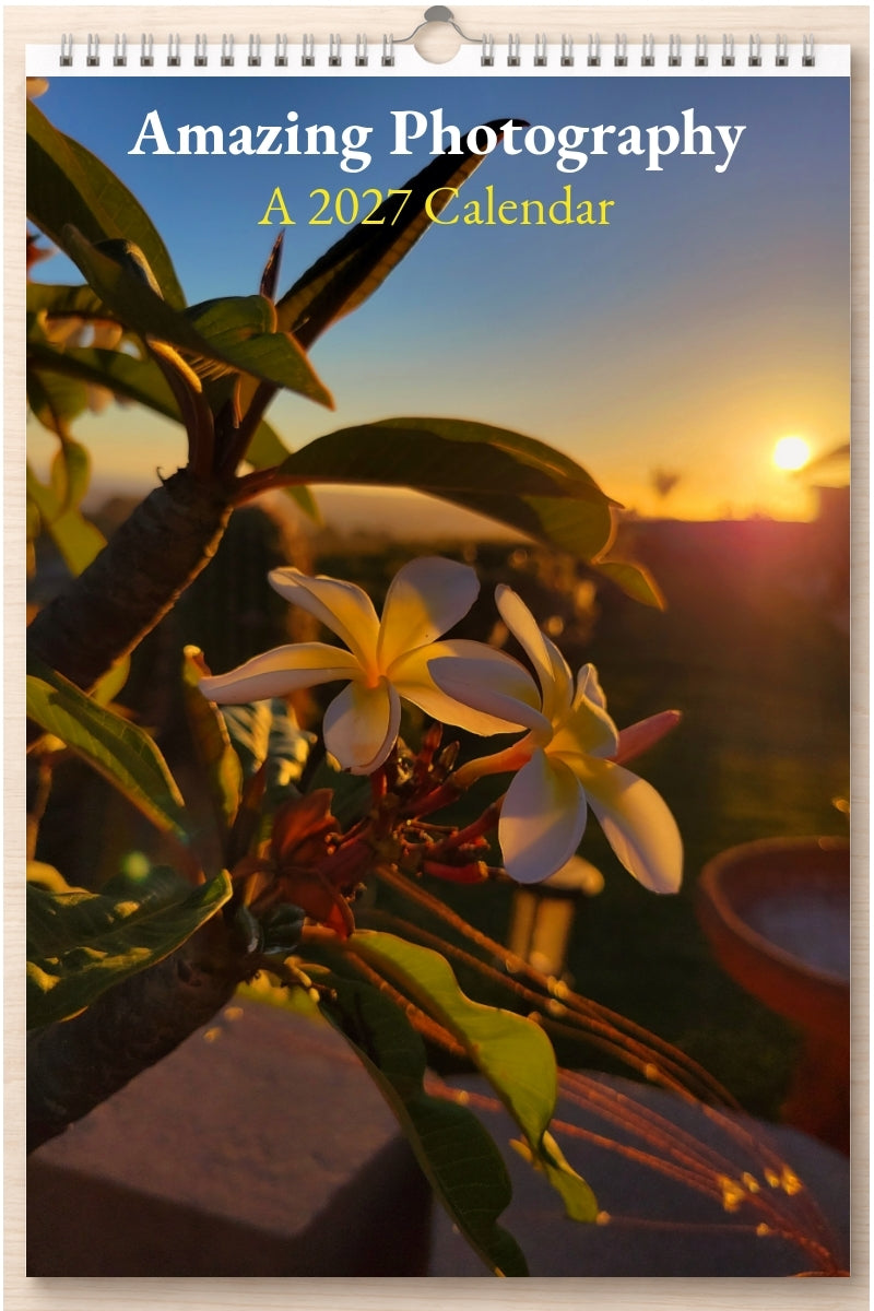 Amazing Photography: A 2027 Calendar