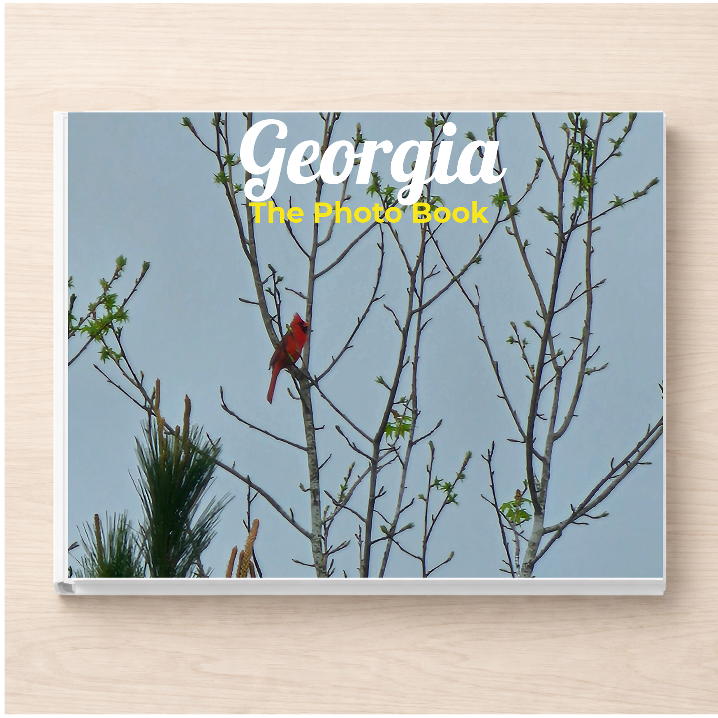 Georgia: The Photo Book