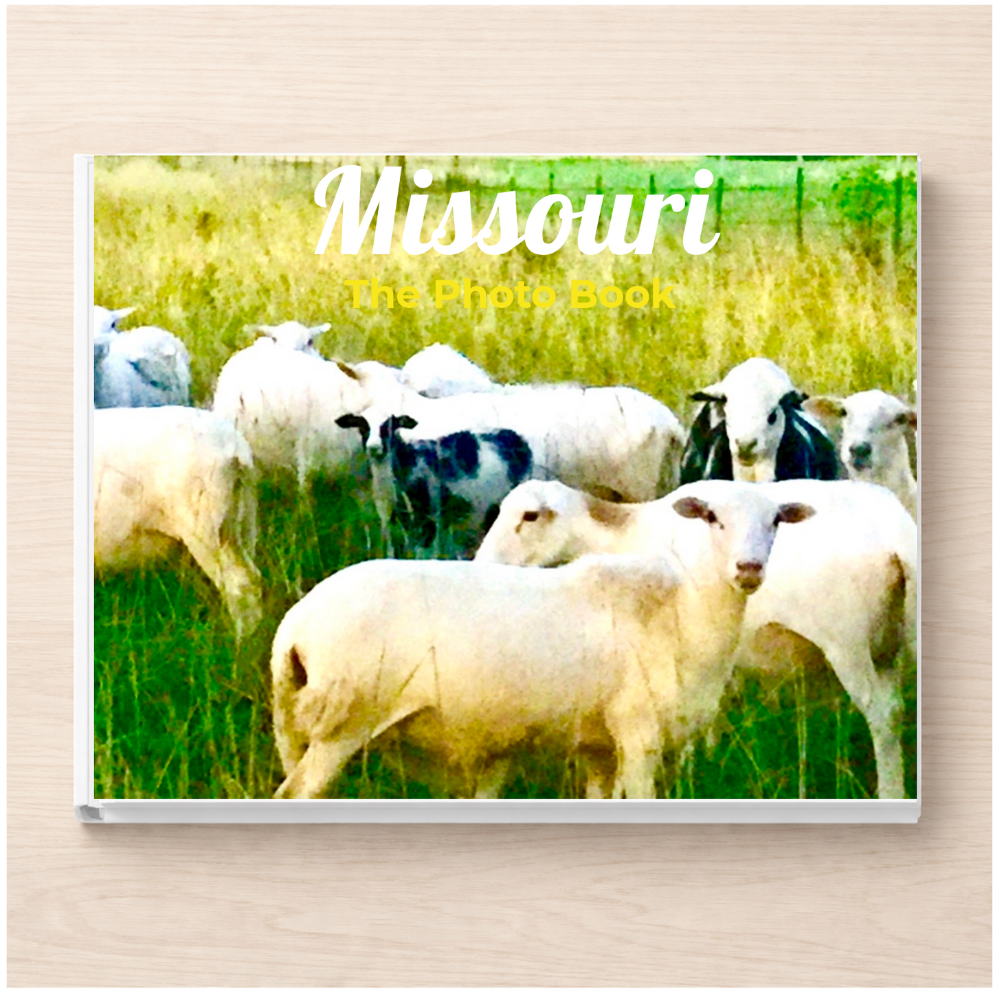 Missouri: The Photo Book
