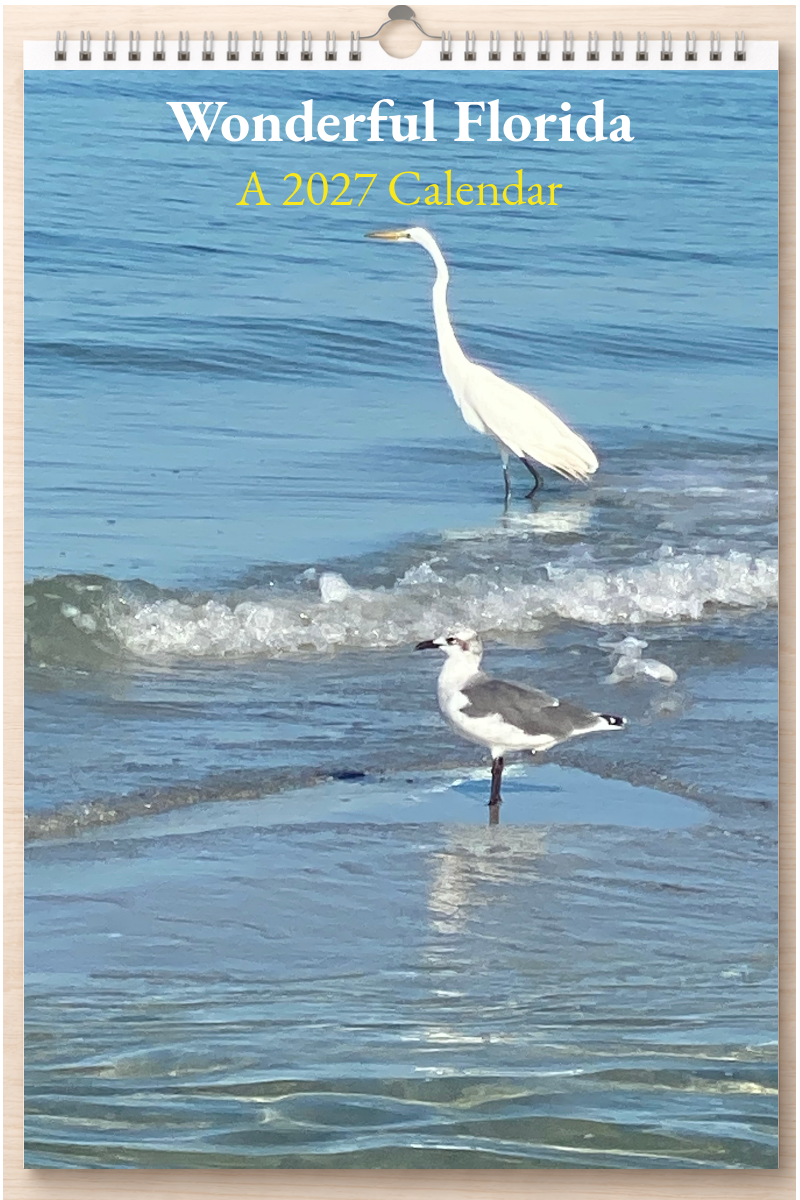 Wonderful Florida: A 2027 Calendar