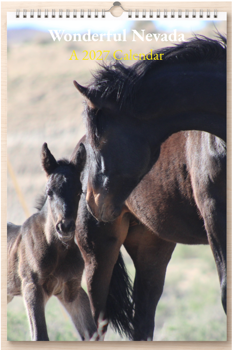 Wonderful Nevada: A 2027 Calendar
