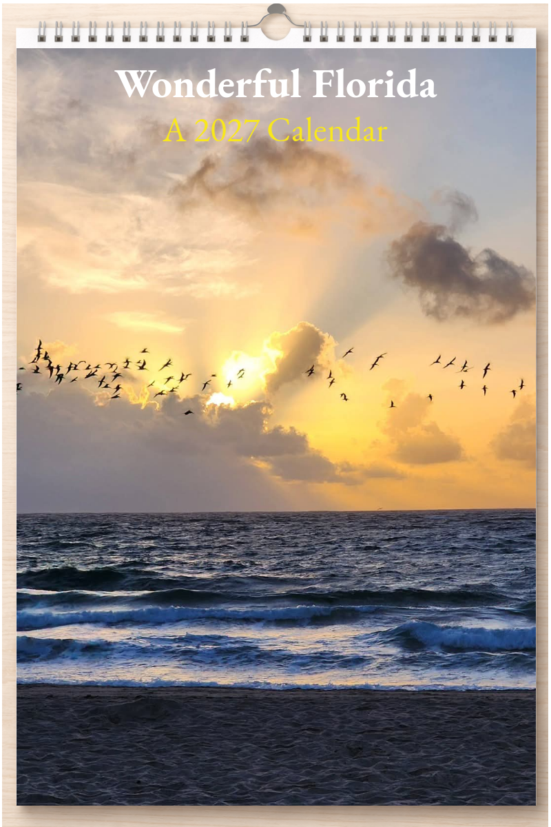 Wonderful Florida: A 2027 Calendar