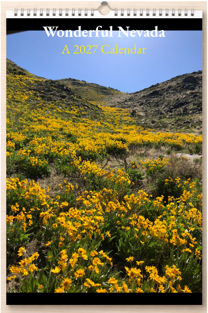 Wonderful Nevada: A 2027 Calendar