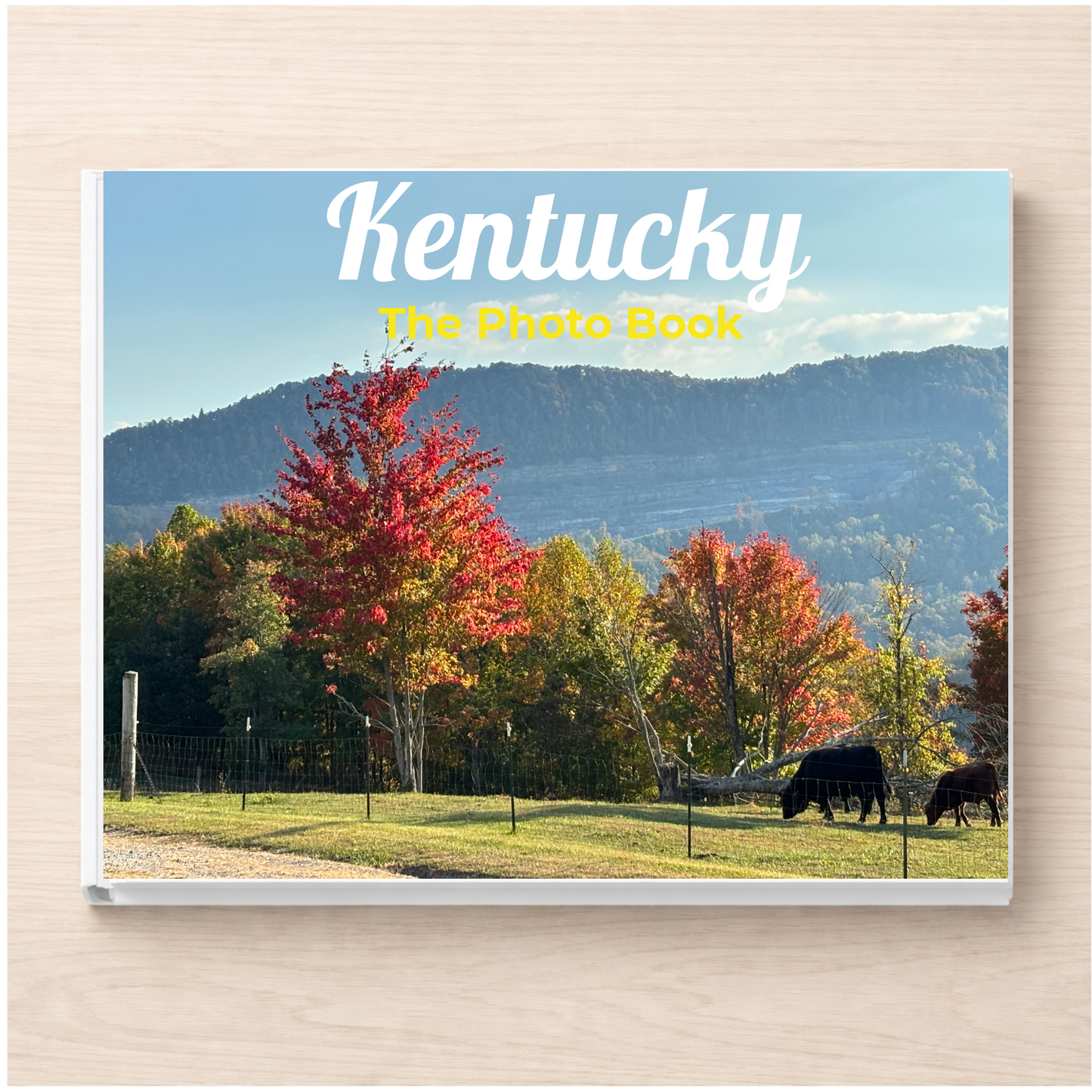 Kentucky: The Photo Book