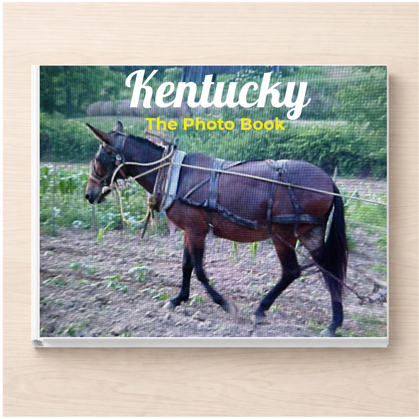 Kentucky: The Photo Book