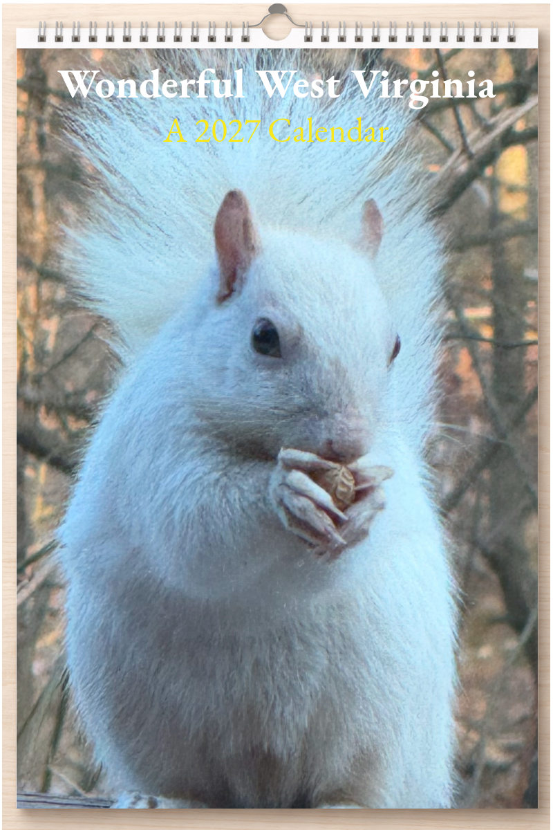 Wonderful West Virginia: A 2027 Calendar