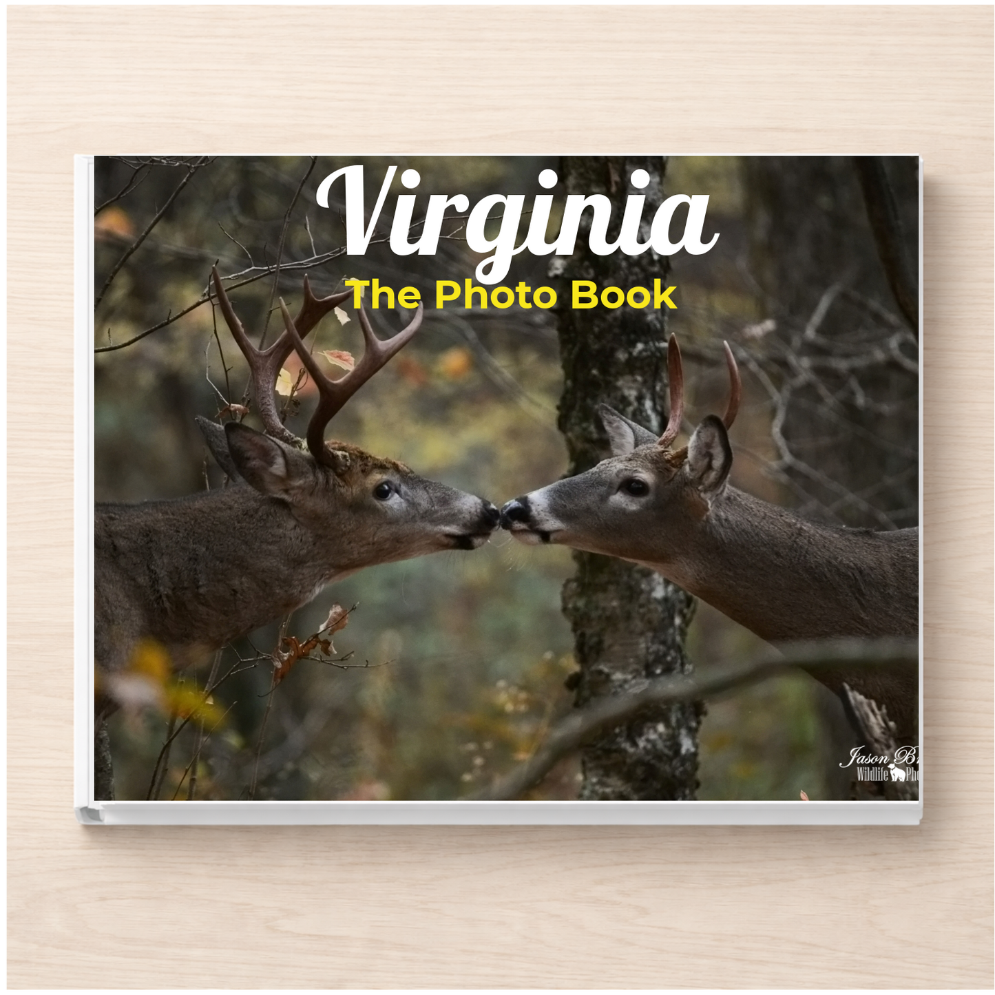 Virginia: The Photo Book