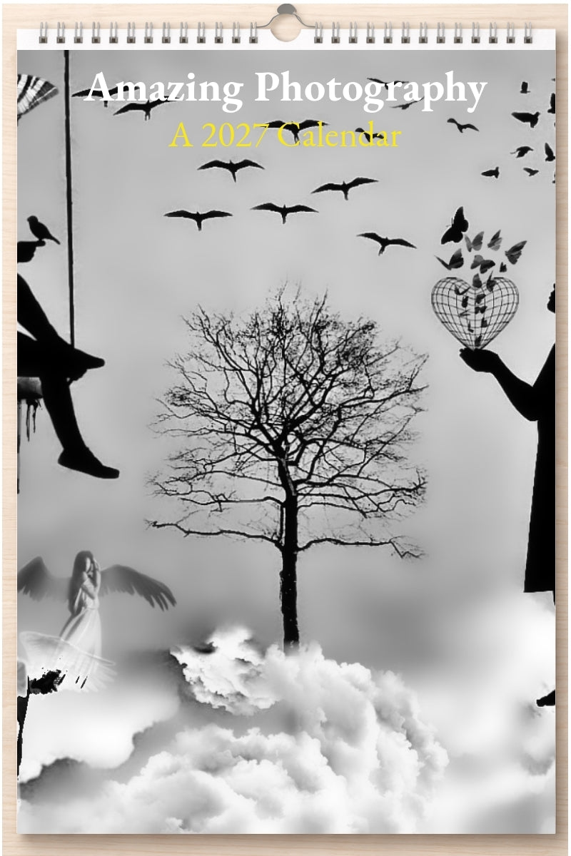 Amazing Photography: A 2027 Calendar