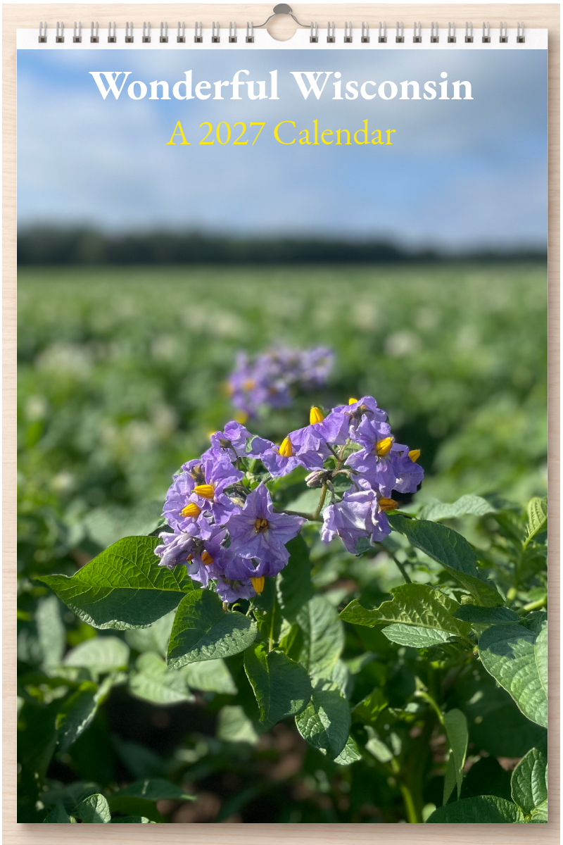 Wonderful Wisconsin: A 2027 Calendar