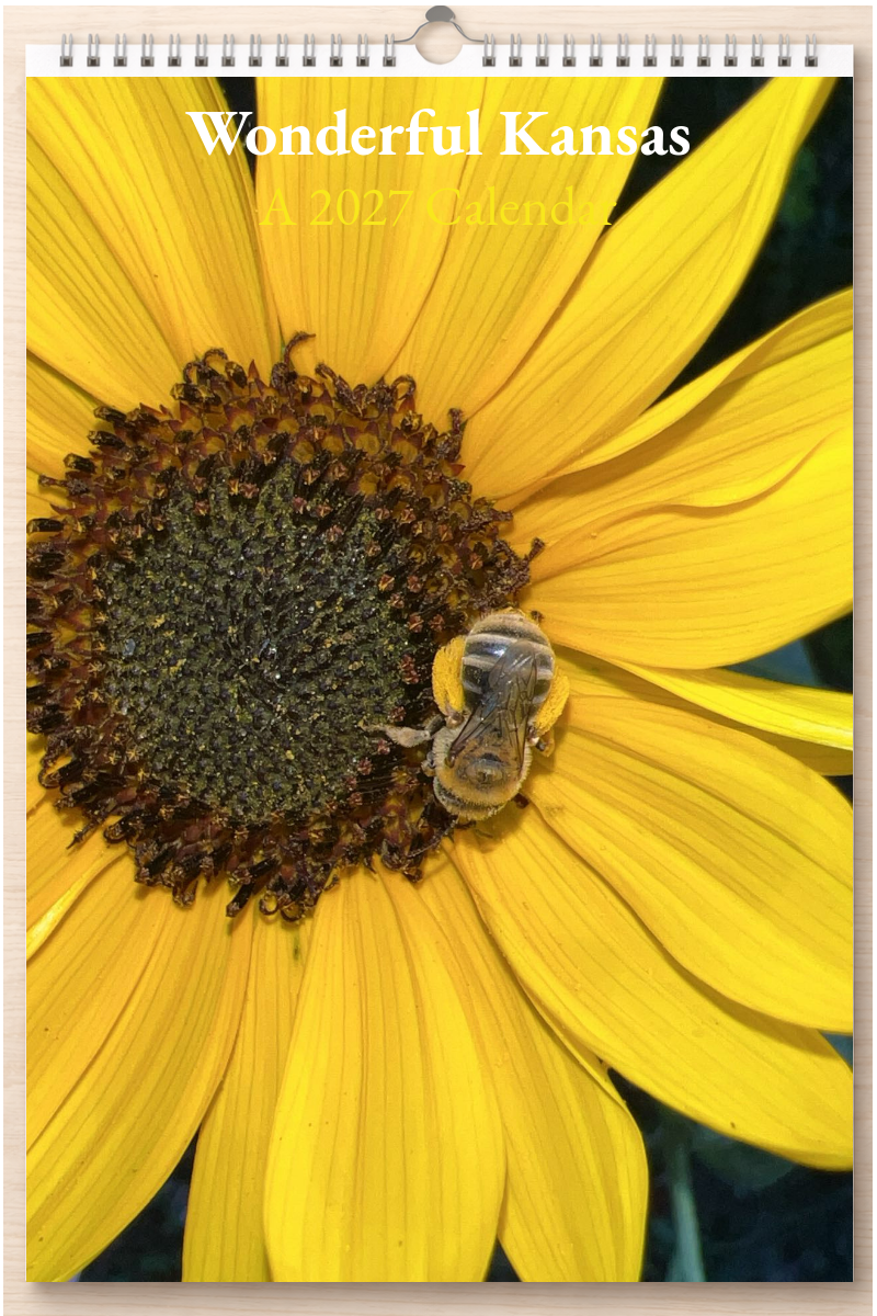 Wonderful Kansas: A 2027 Calendar