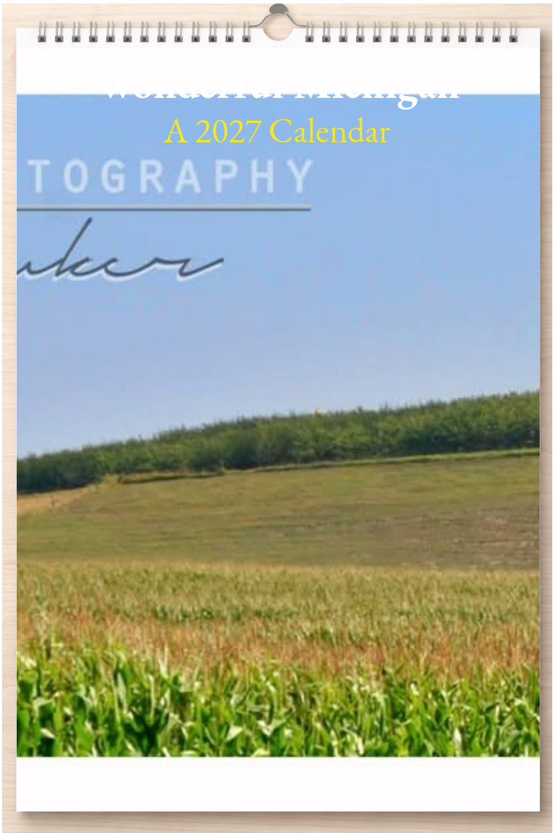 Wonderful Michigan: A 2027 Calendar