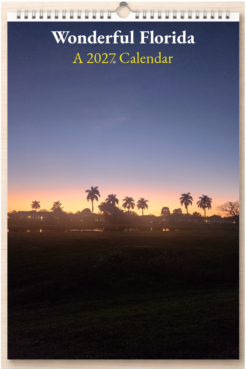 Wonderful Florida: A 2027 Calendar