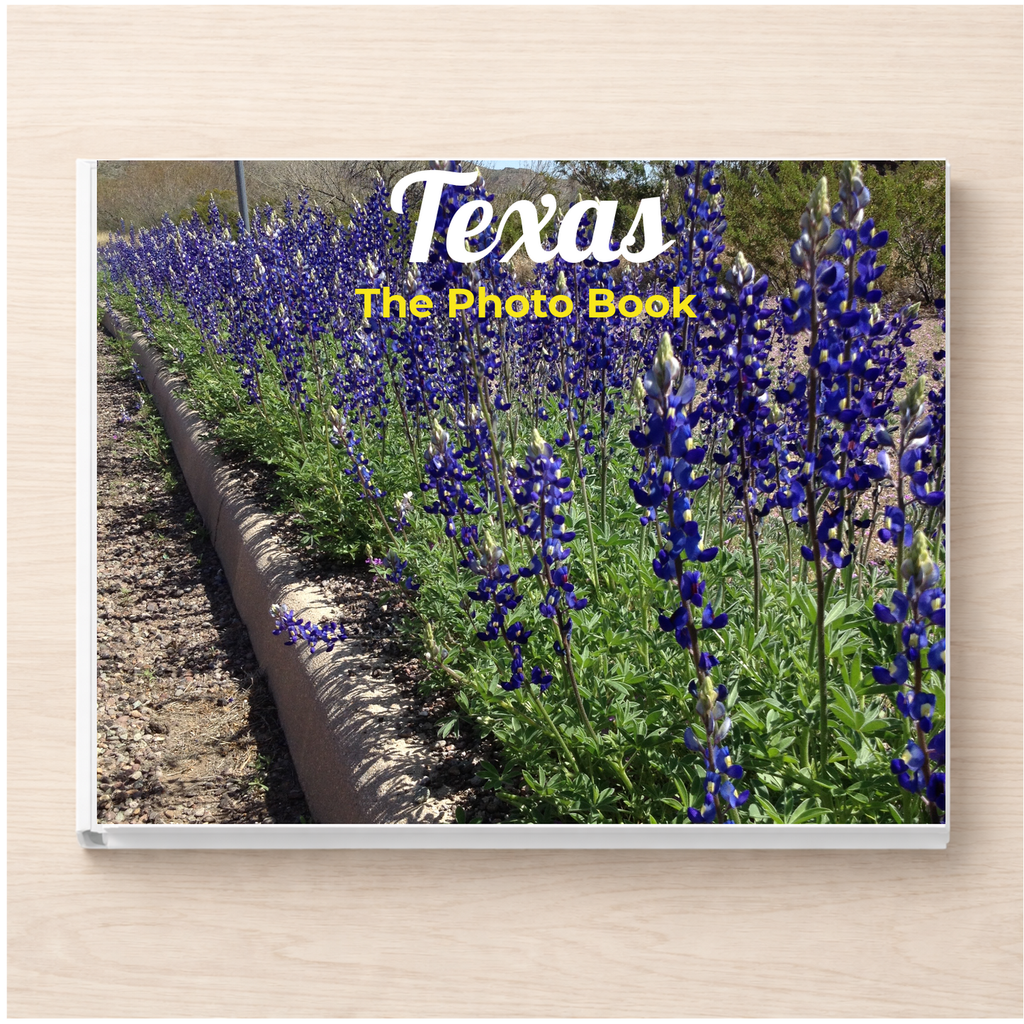 Texas: The Photo Book