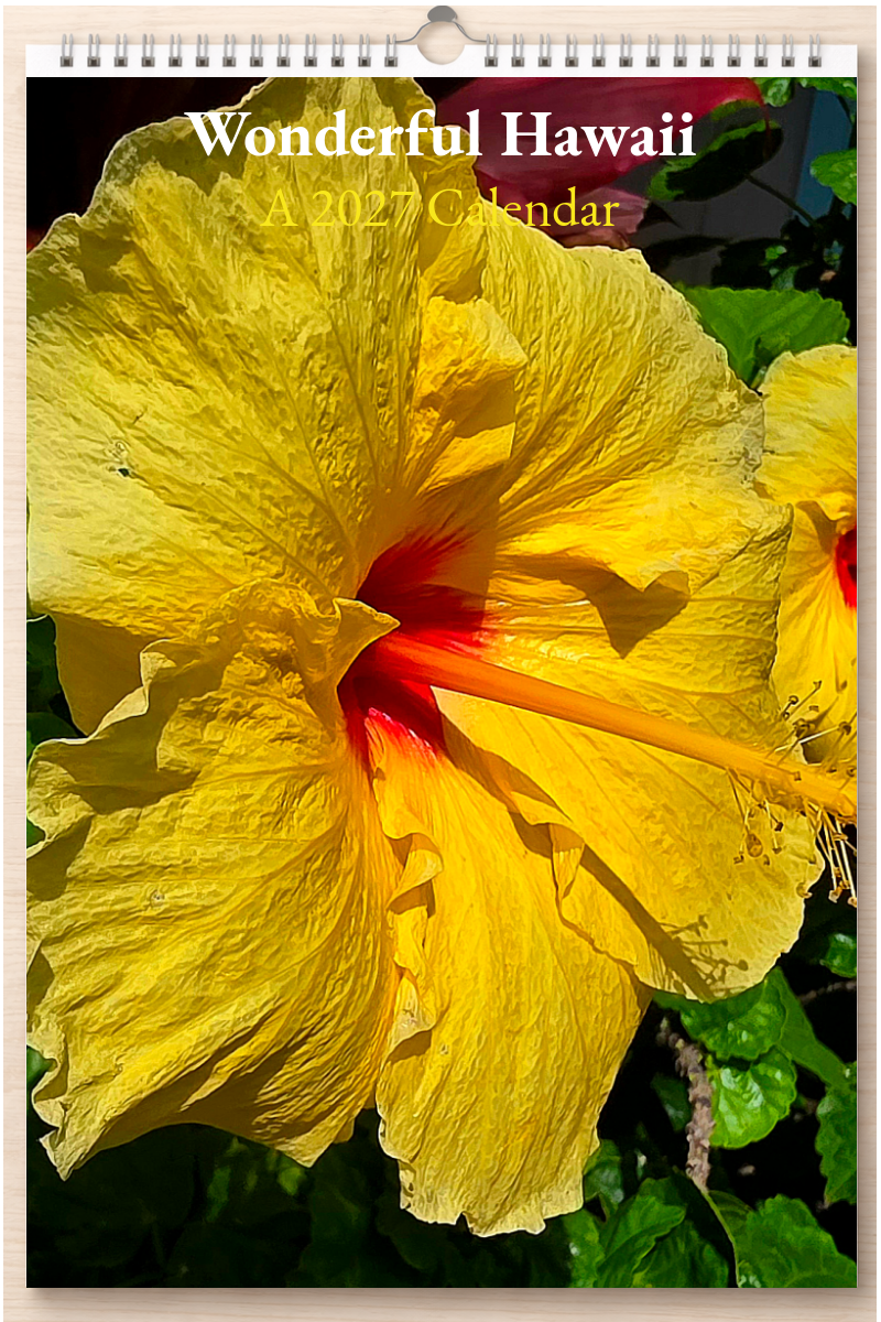 Wonderful Hawaii: A 2027 Calendar