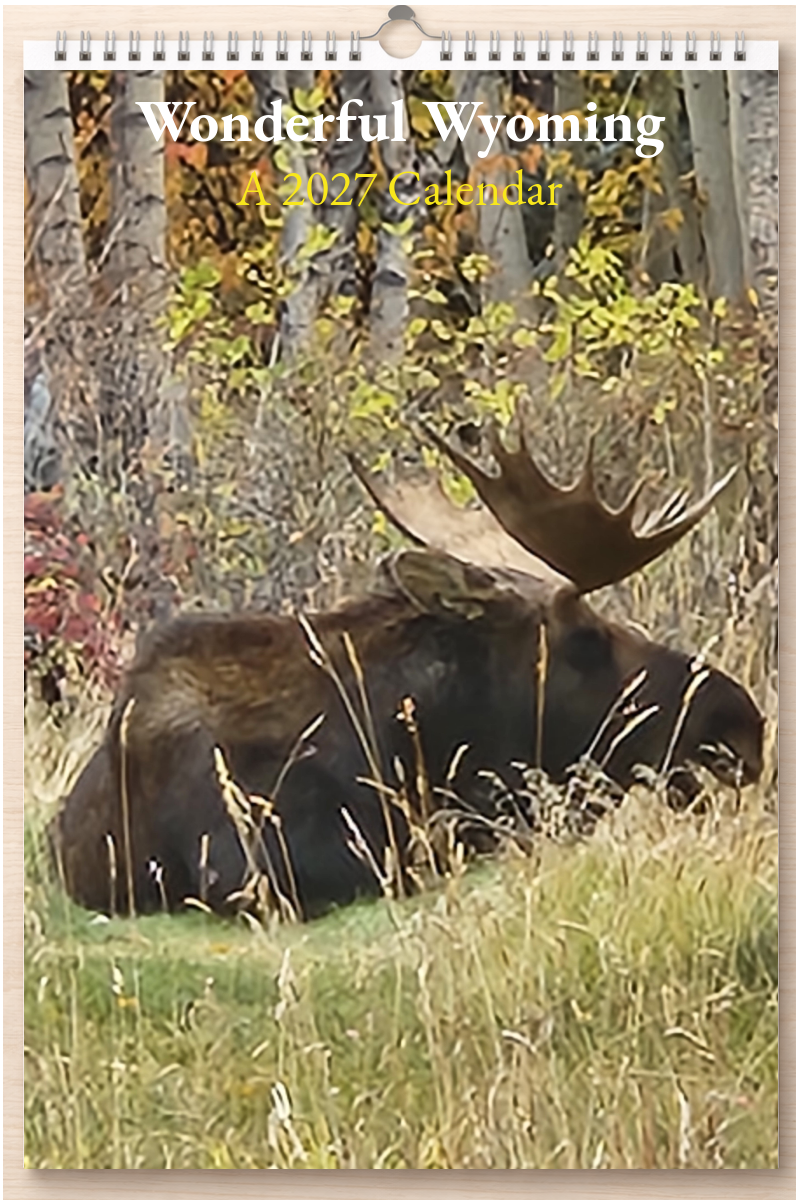 Wonderful Wyoming: A 2027 Calendar