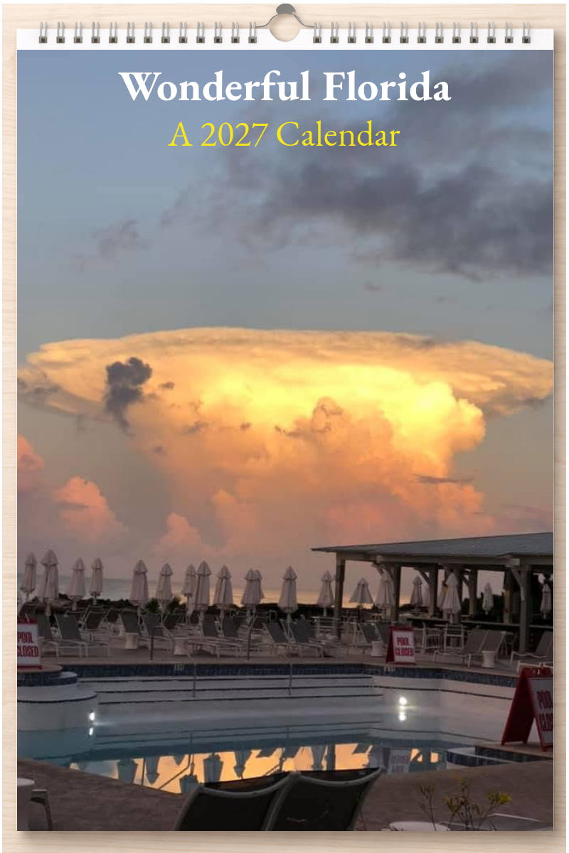 Wonderful Florida: A 2027 Calendar
