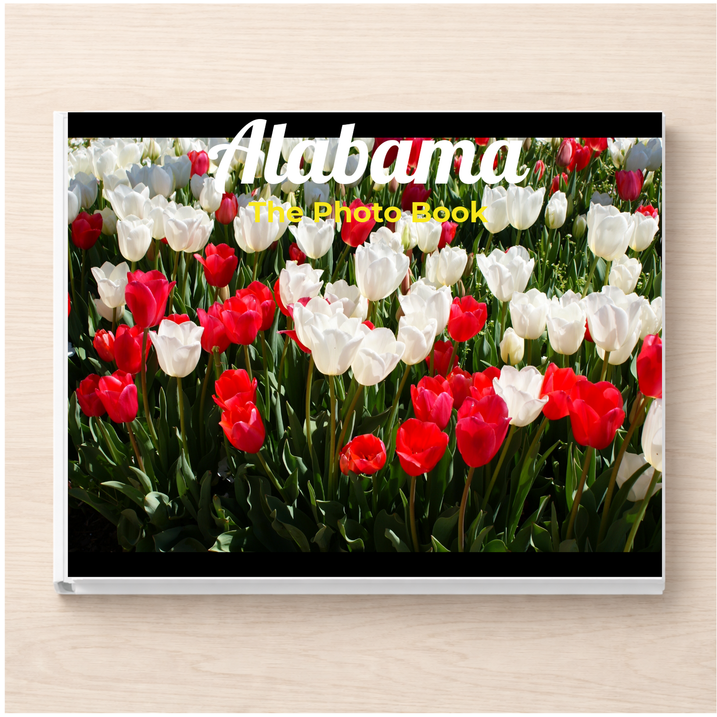Alabama: The Photo Book