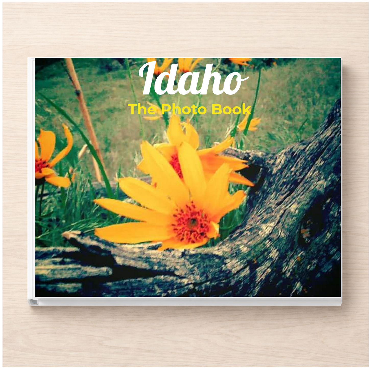Idaho: The Photo Book