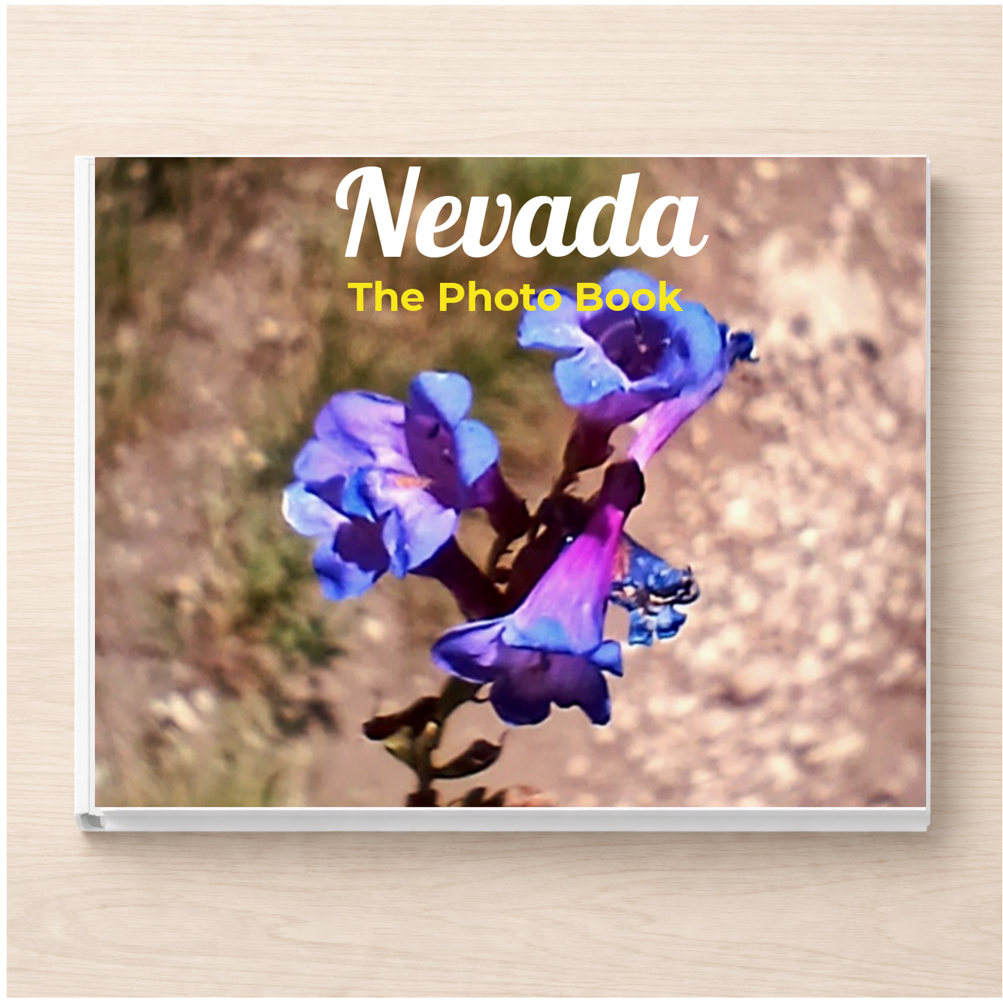 Nevada: The Photo Book