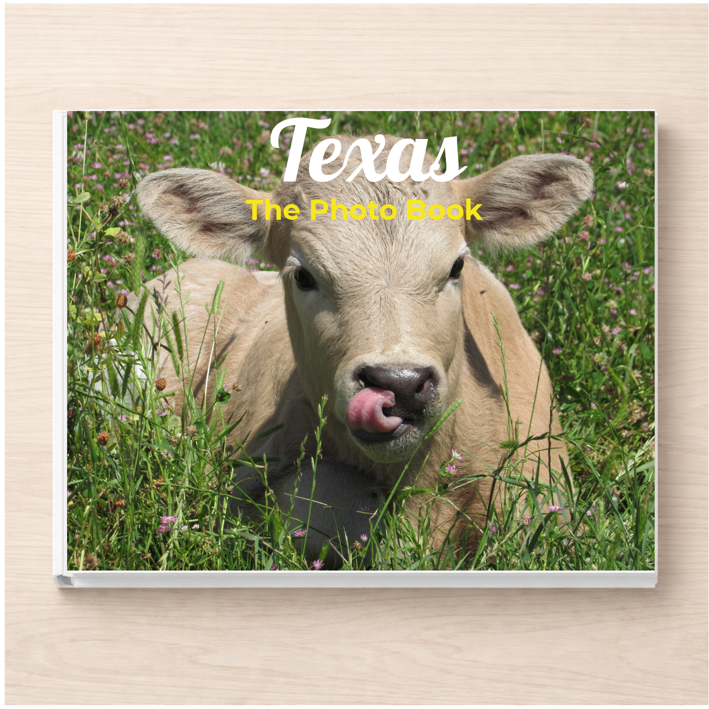 Texas: The Photo Book