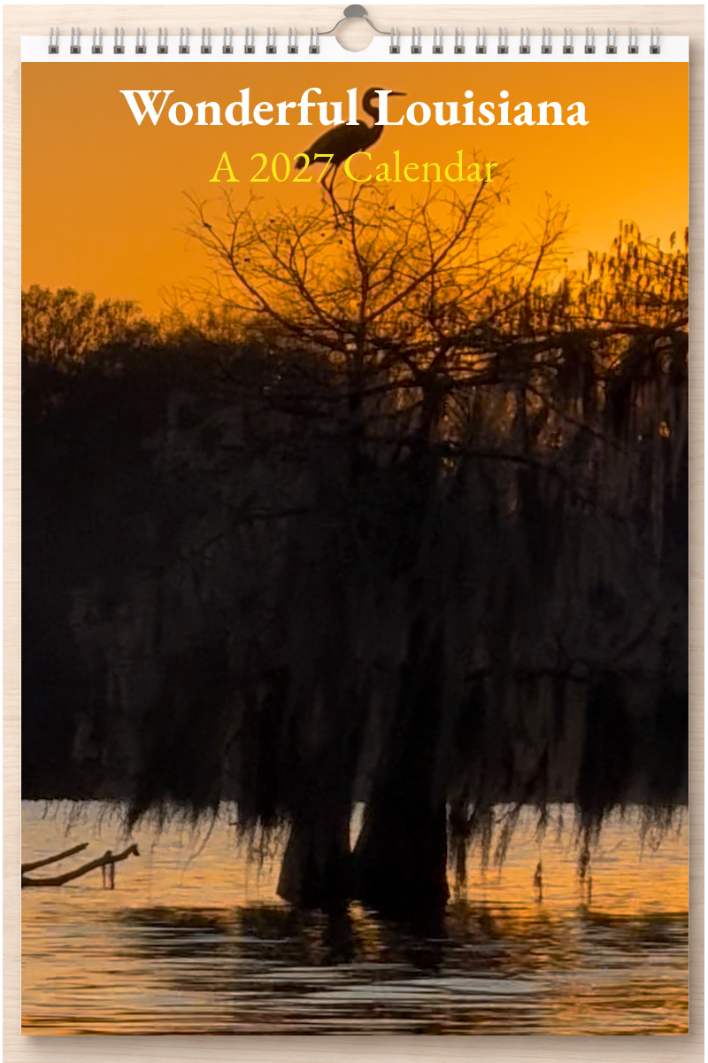 Wonderful Louisiana: A 2027 Calendar