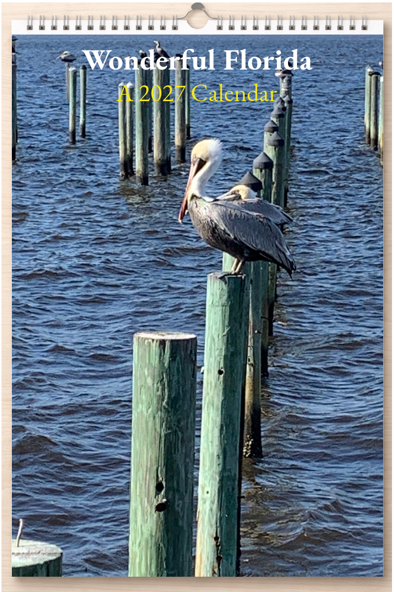Wonderful Florida: A 2027 Calendar