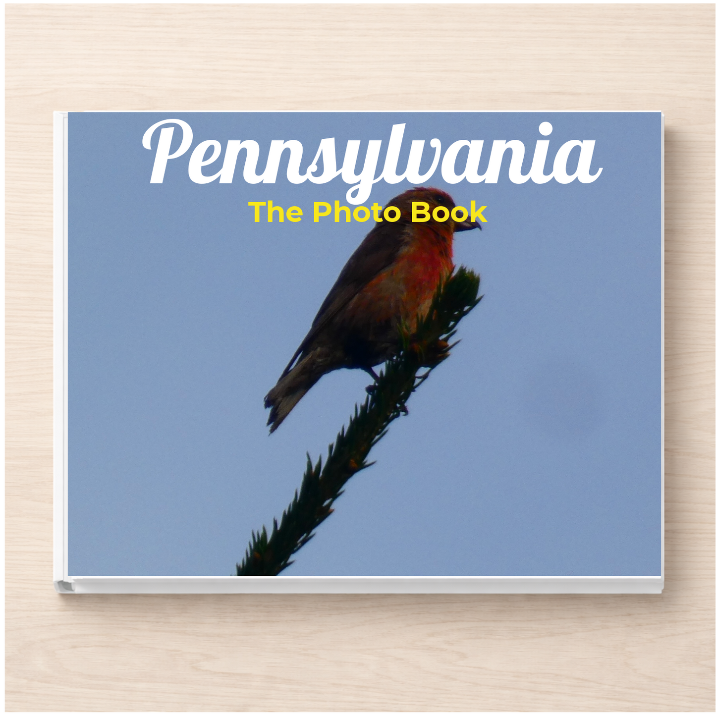Pennsylvania: The Photo Book