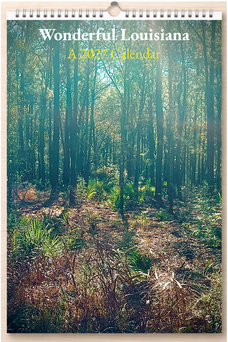 Wonderful Louisiana: A 2027 Calendar