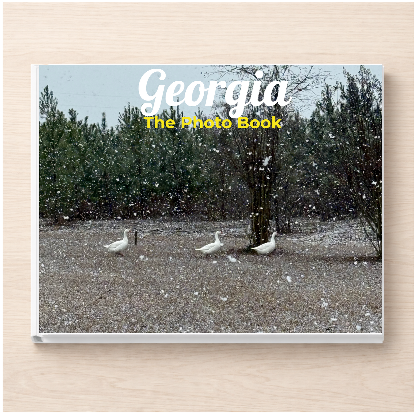 Georgia: The Photo Book