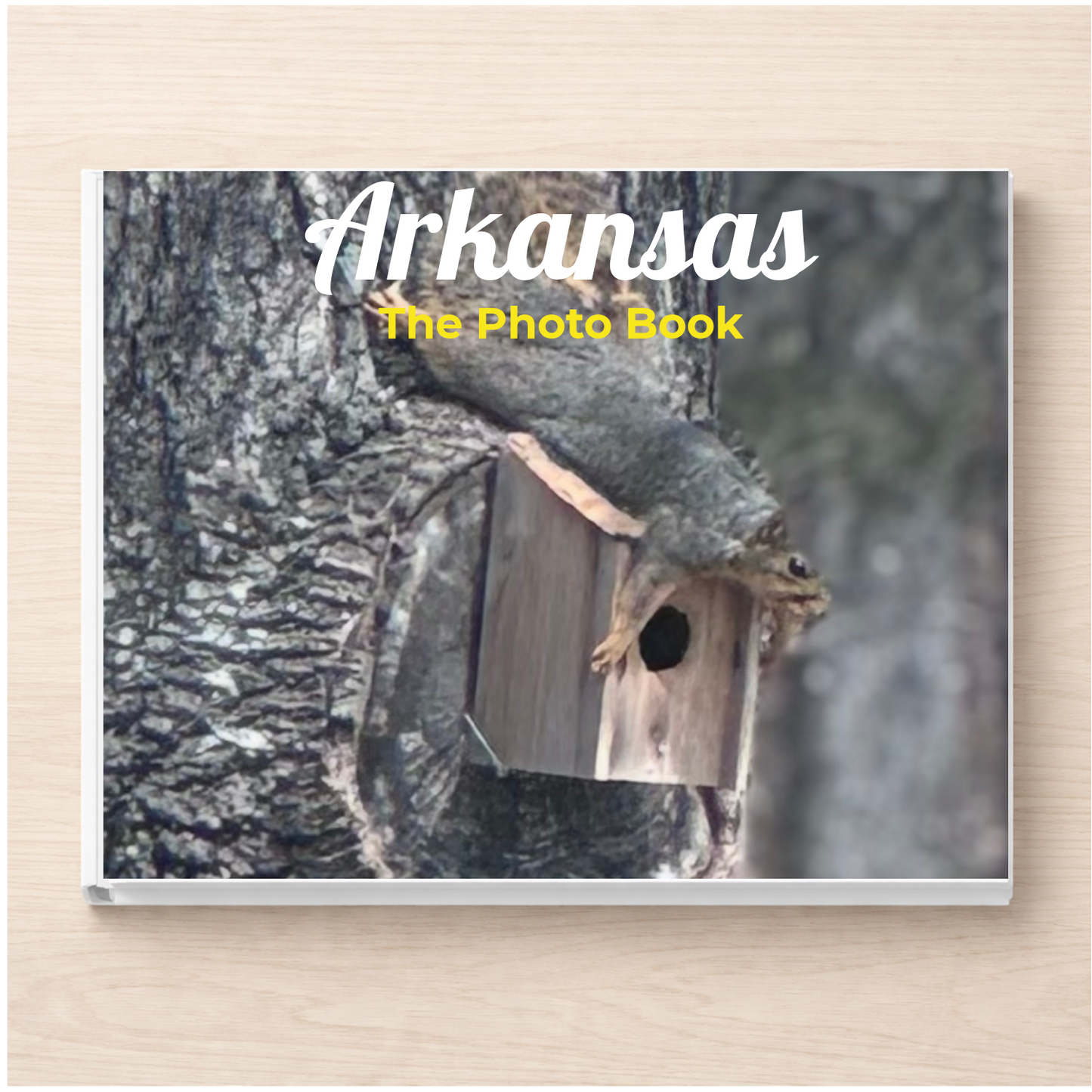 Arkansas: The Photo Book