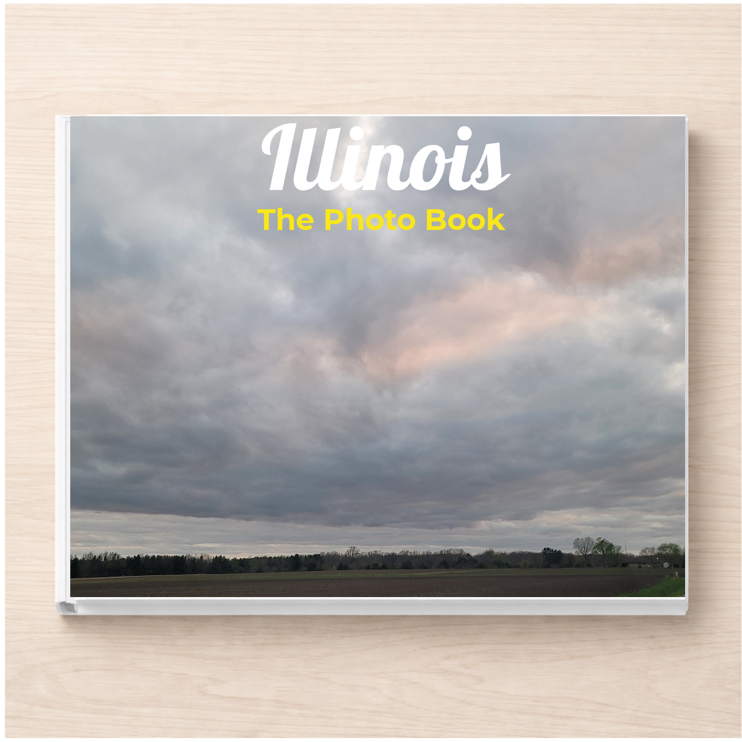 Illinois: The Photo Book