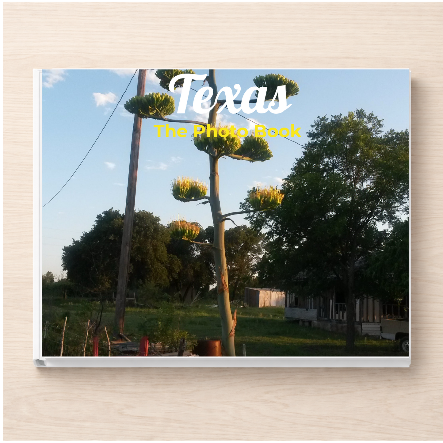 Texas: The Photo Book