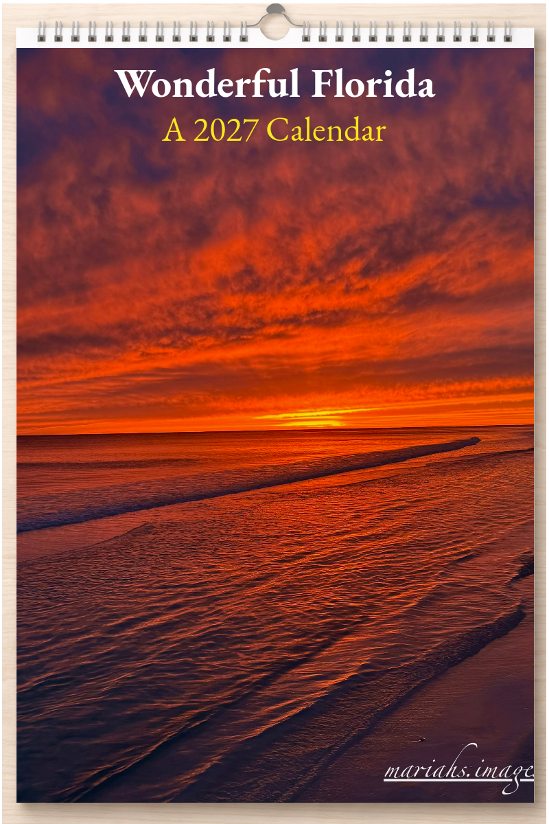 Wonderful Florida: A 2027 Calendar