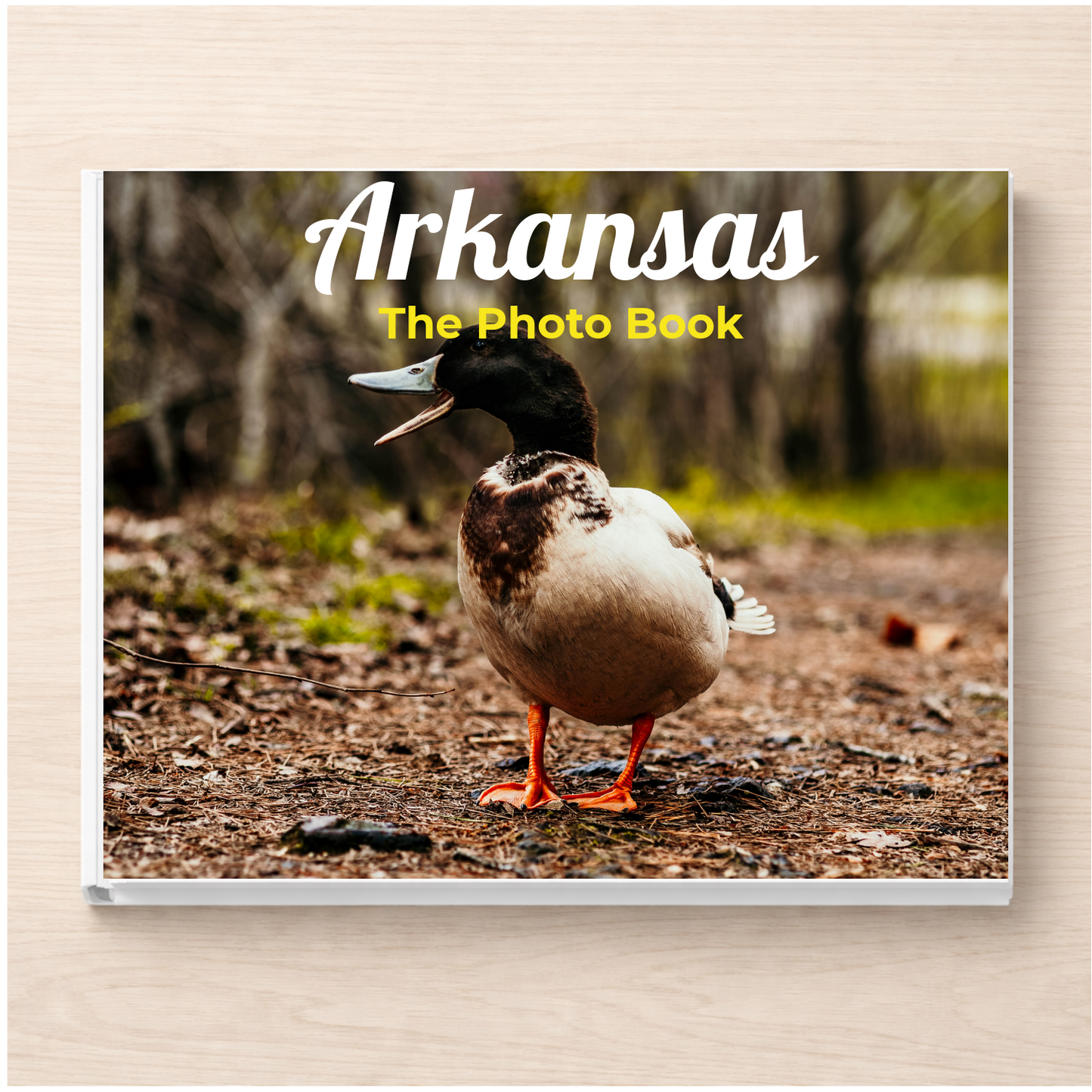 Arkansas: The Photo Book