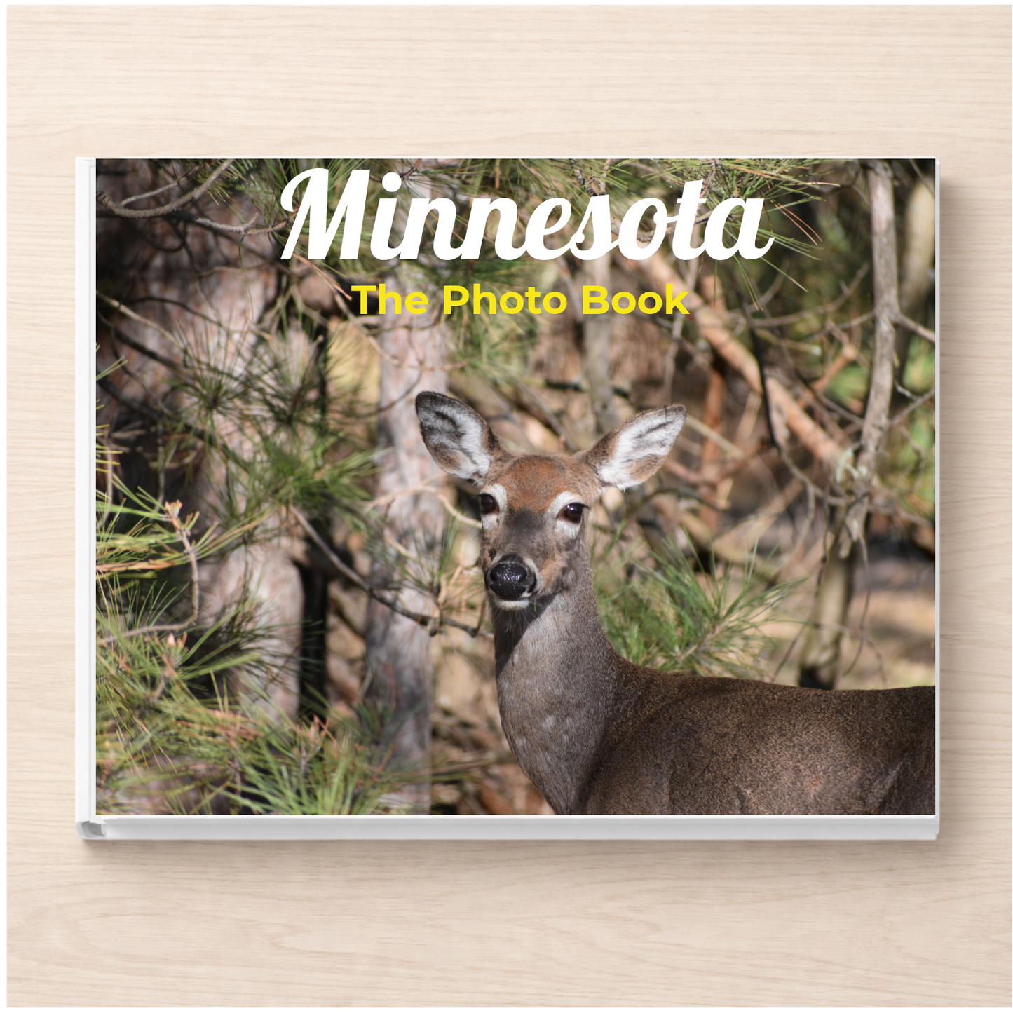 Minnesota: The Photo Book