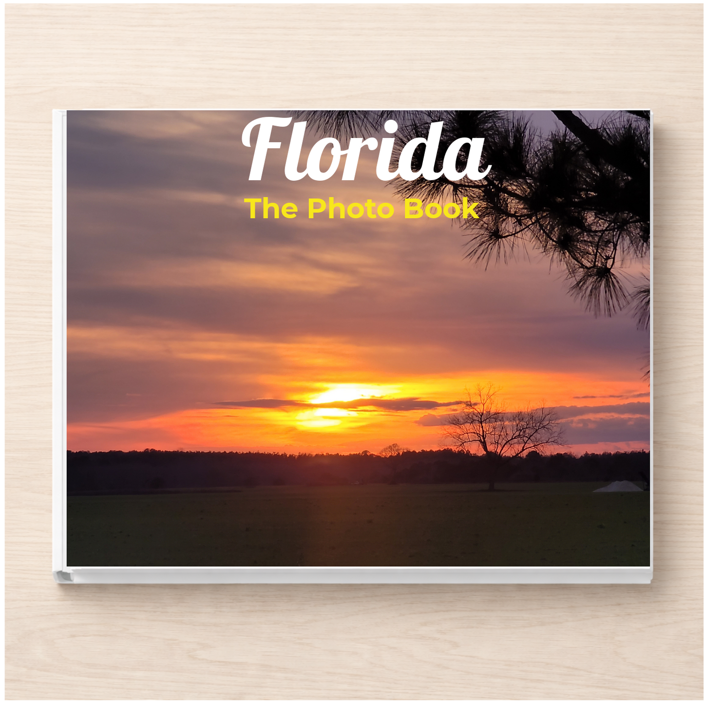Florida: The Photo Book