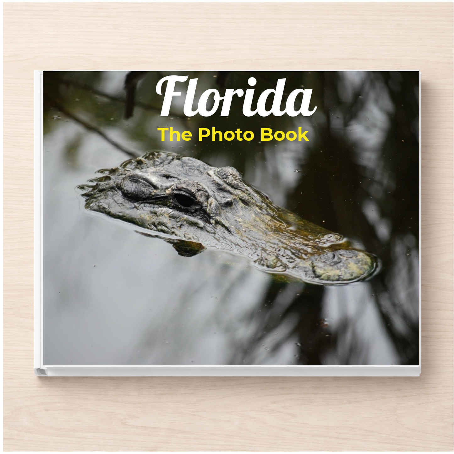 Florida: The Photo Book