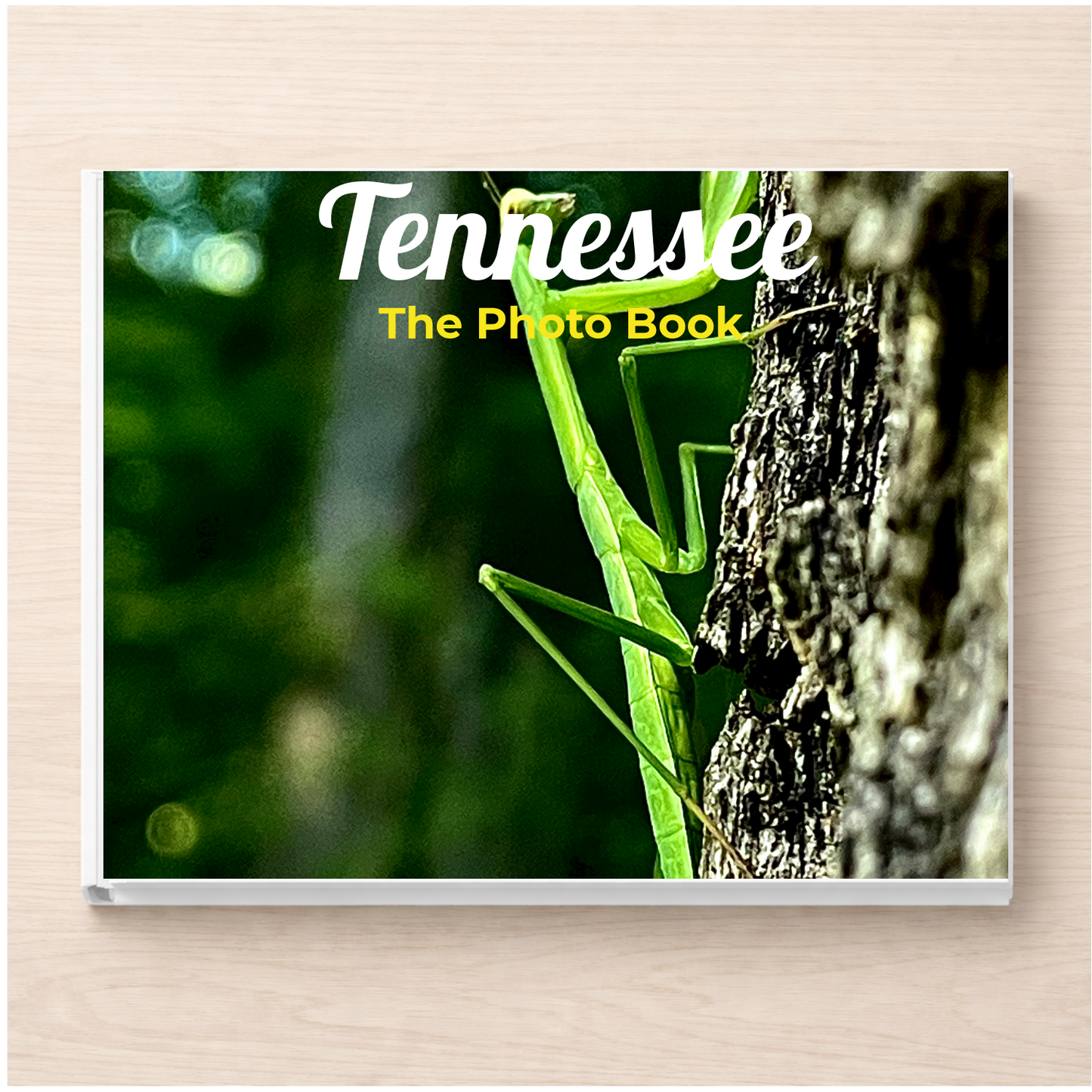 Tennessee: The Photo Book