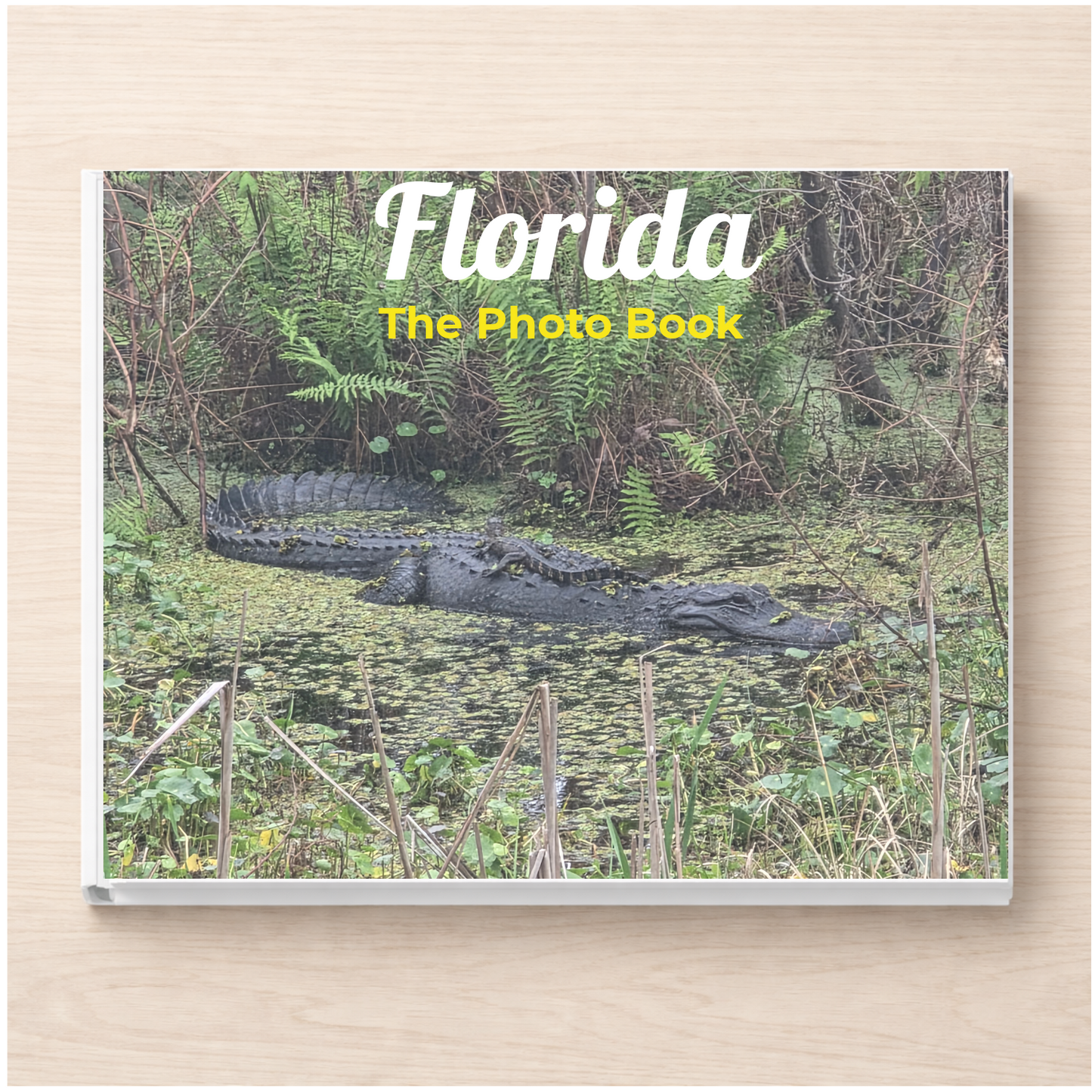 Florida: The Photo Book