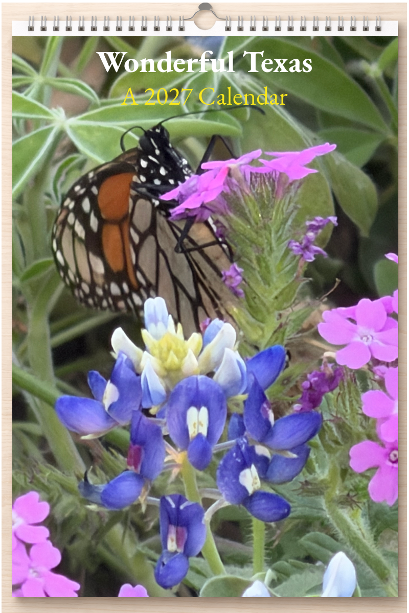 Wonderful Texas: A 2027 Calendar