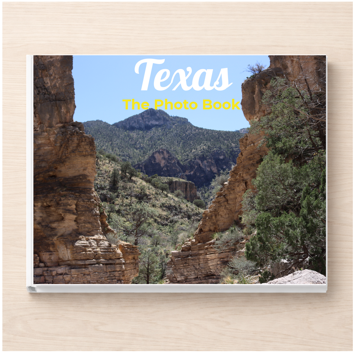Texas: The Photo Book