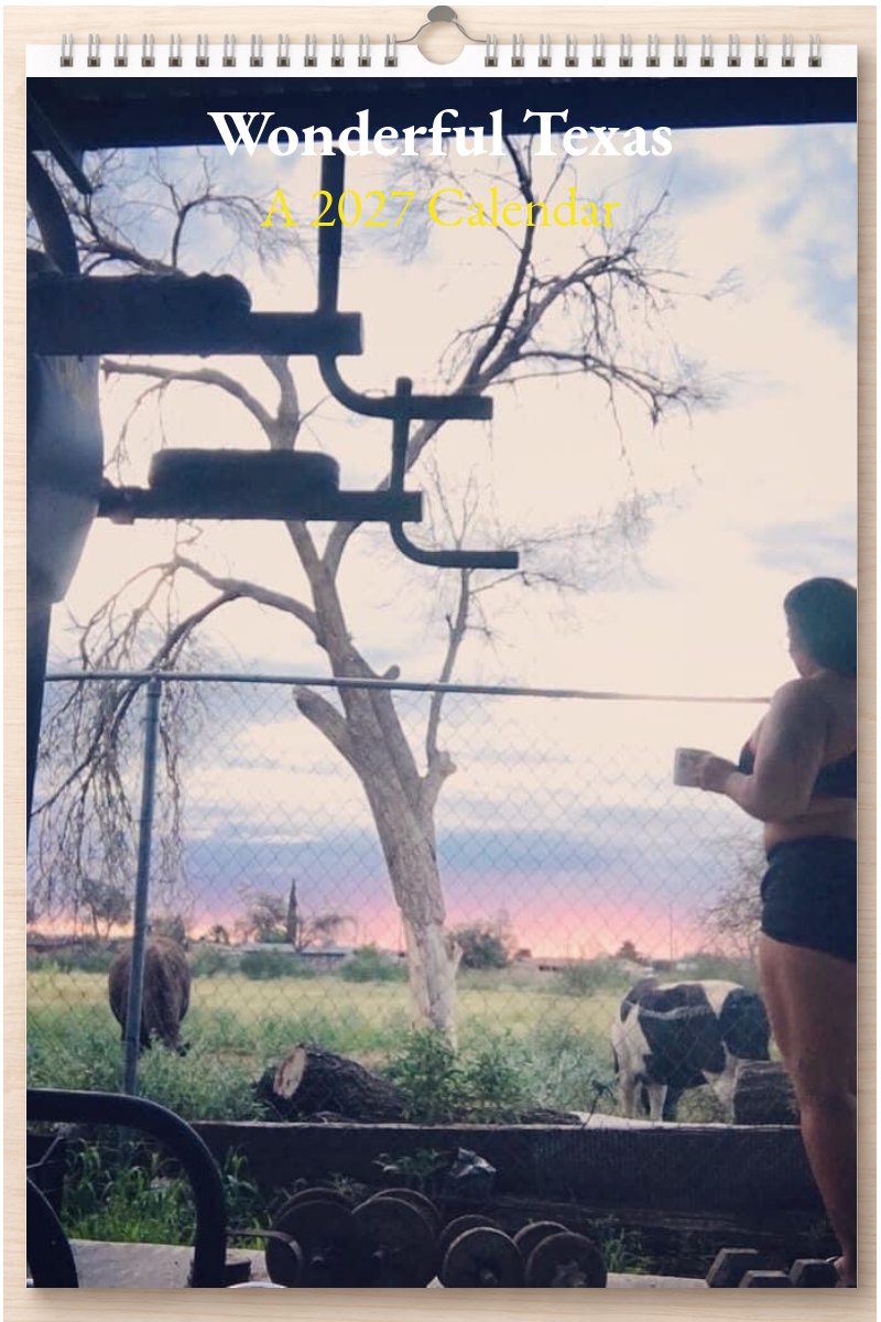 Wonderful Texas: A 2027 Calendar