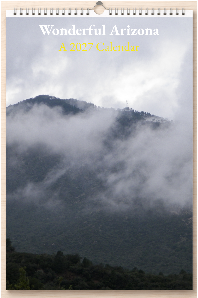 Wonderful Arizona: A 2027 Calendar