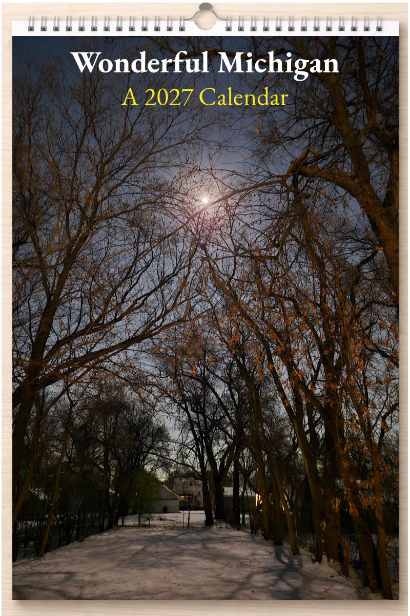 Wonderful Michigan: A 2027 Calendar