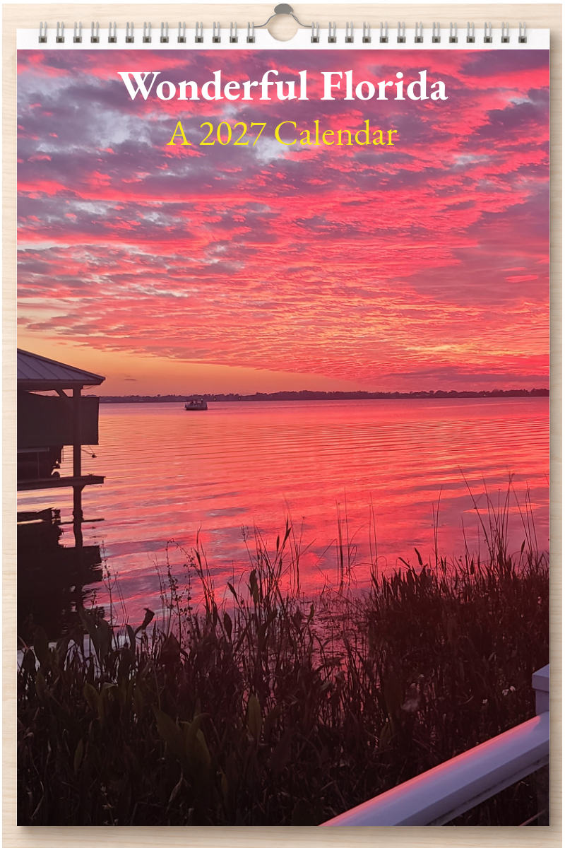 Wonderful Florida: A 2027 Calendar