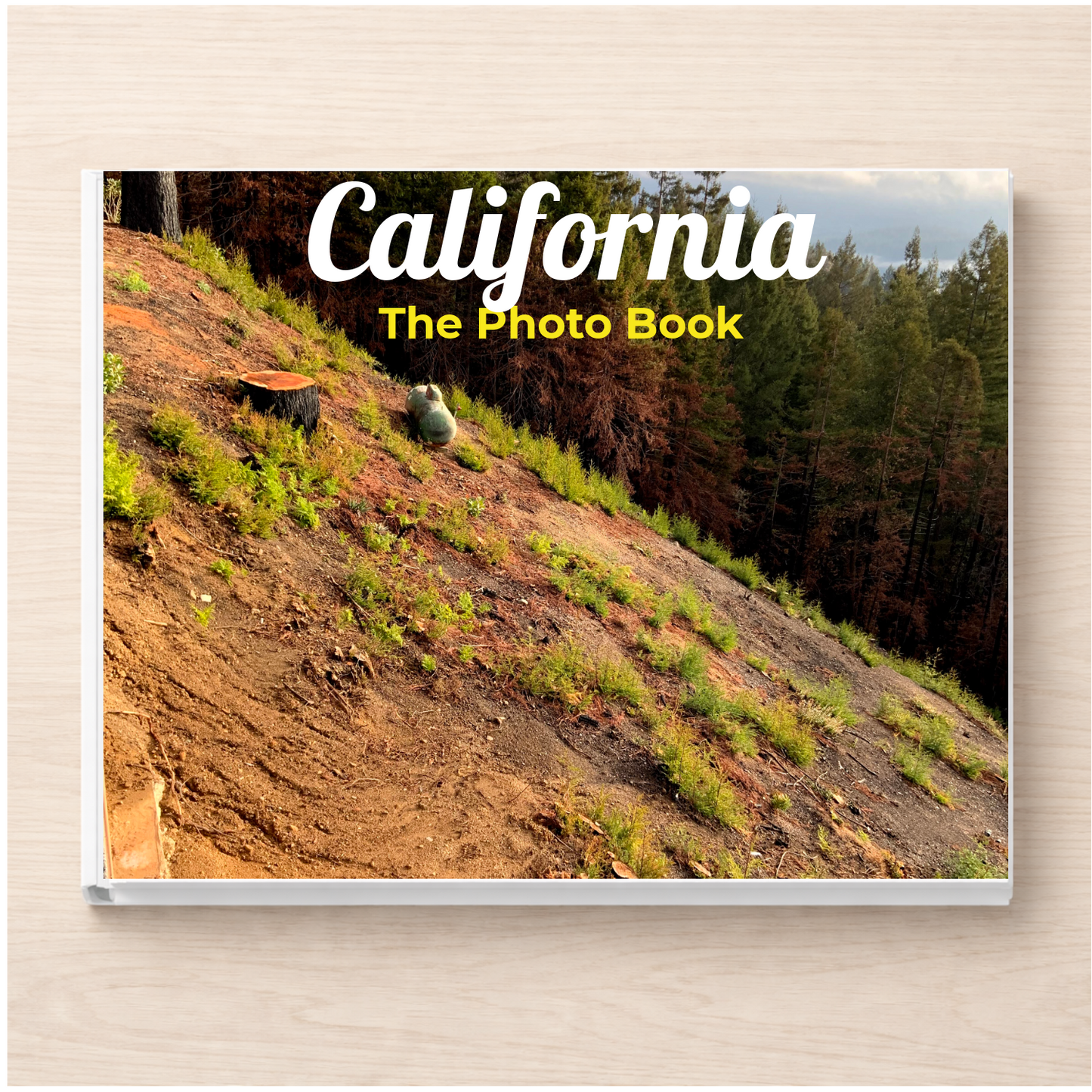 California: The Photo Book