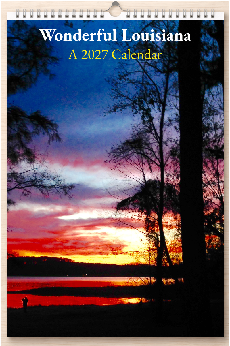 Wonderful Louisiana: A 2027 Calendar