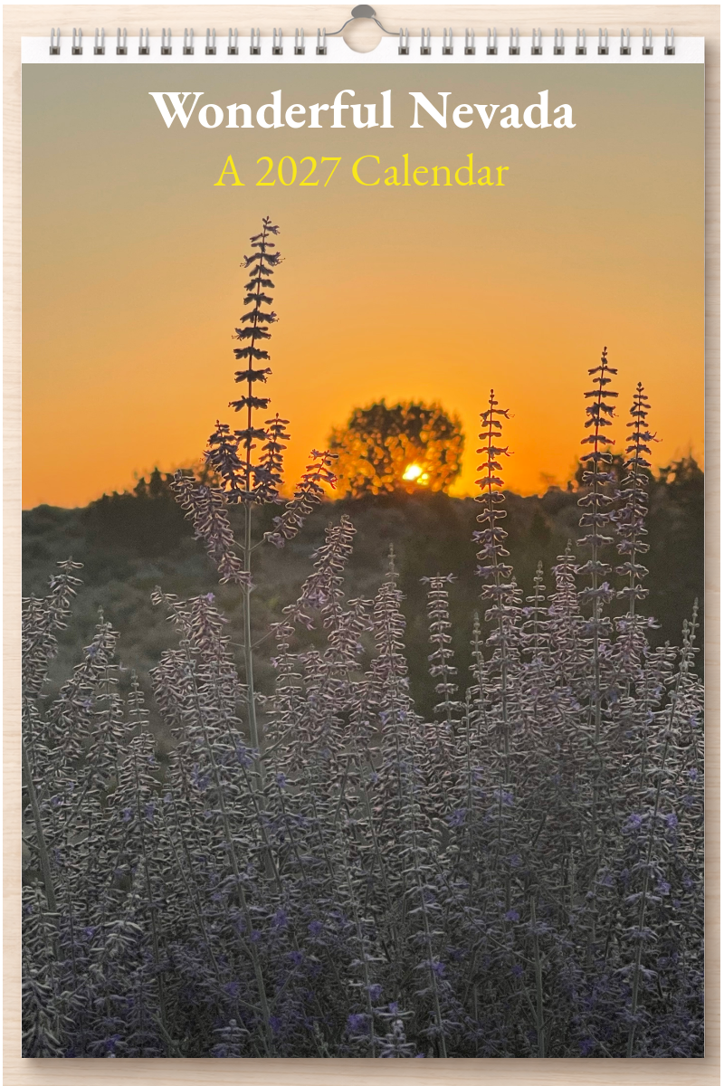 Wonderful Nevada: A 2027 Calendar