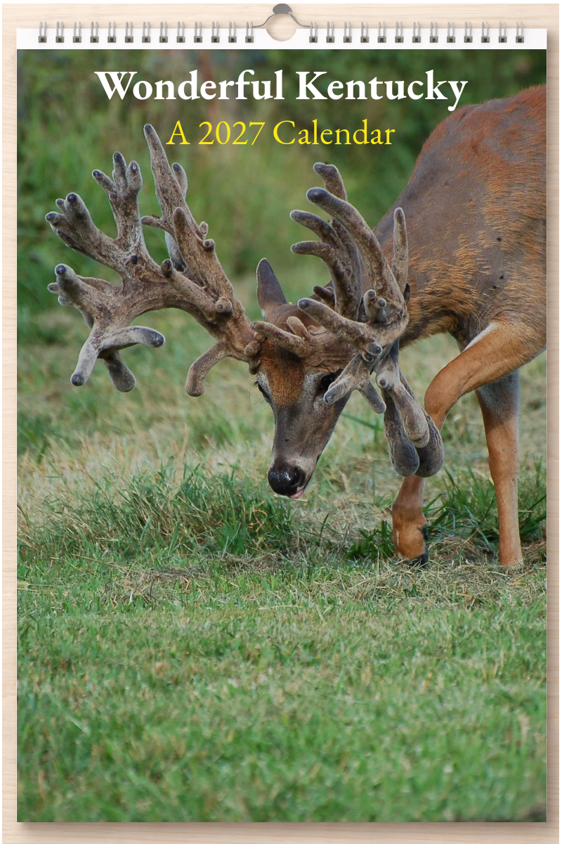 Wonderful Kentucky: A 2027 Calendar